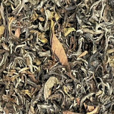 Thé Darjeeling Gopaldhara feuilles séchées, notes fraîches coriandre amande, printemps 2022