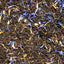 Thé noir bergamote pamplemousse Verlet avec pétales de bleuet et écorces d'orange, mélange aromatique tradition russe