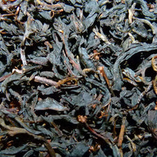 Thé noir du Projet Royal, feuilles torsadées cuivrées récoltées à Doi Angkhan, Thaïlande