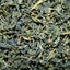 Thé vert du Projet Royal feuilles torsadées vert bouteille récoltées à la main Doi Angkhan Thaïlande